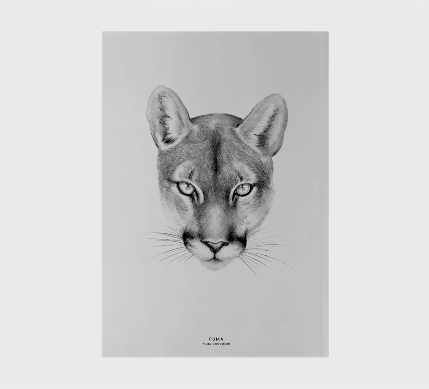Puma notebook by Flora & Fauna