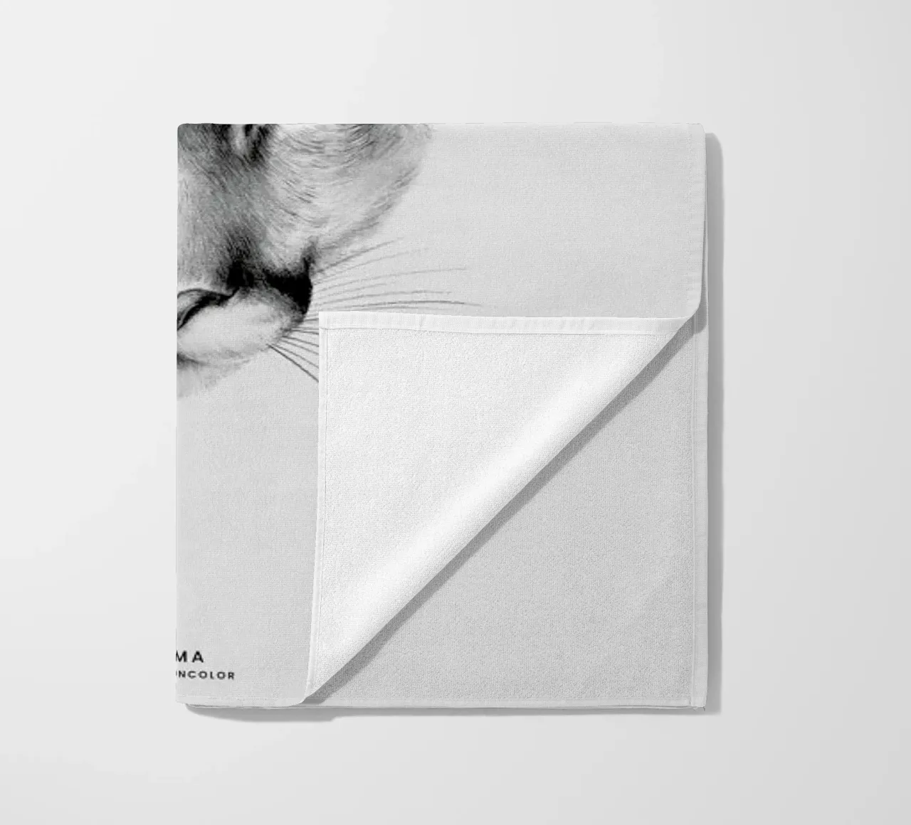 Puma telo mare da Flora & Fauna