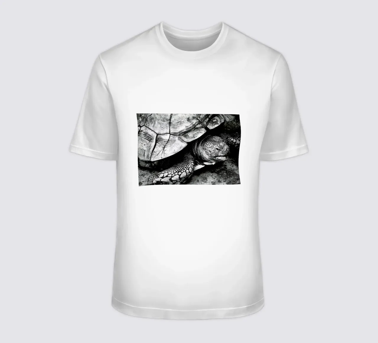 Tim the Turtle t-shirt da Babett Schultze