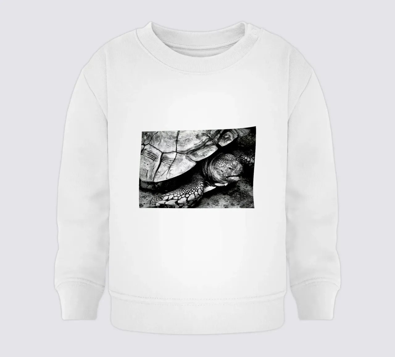 Tim the Turtle baby sweatshirt van Babett Schultze