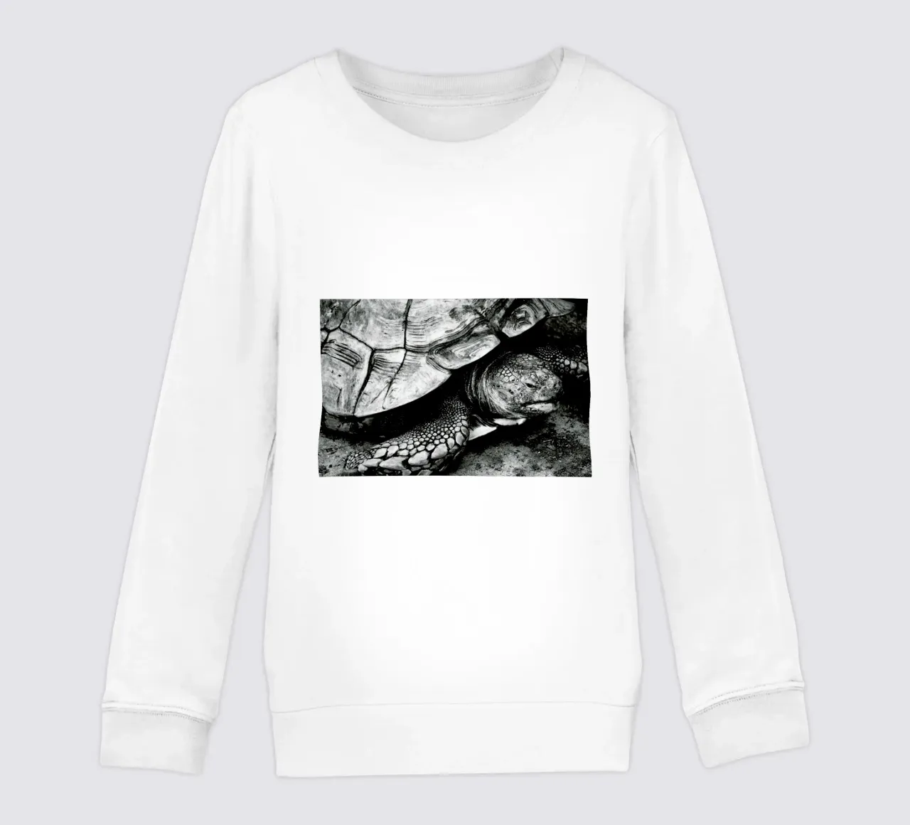 Tim the Turtle kinder sweatshirt van Babett Schultze