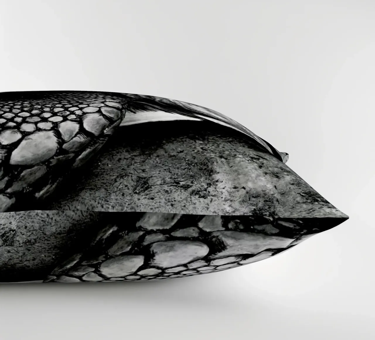 Tim the Turtle cuscino da Babett Schultze