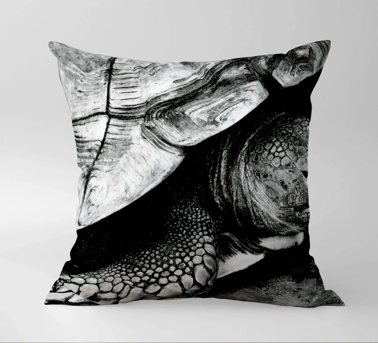 Tim the Turtle cuscino da Babett Schultze