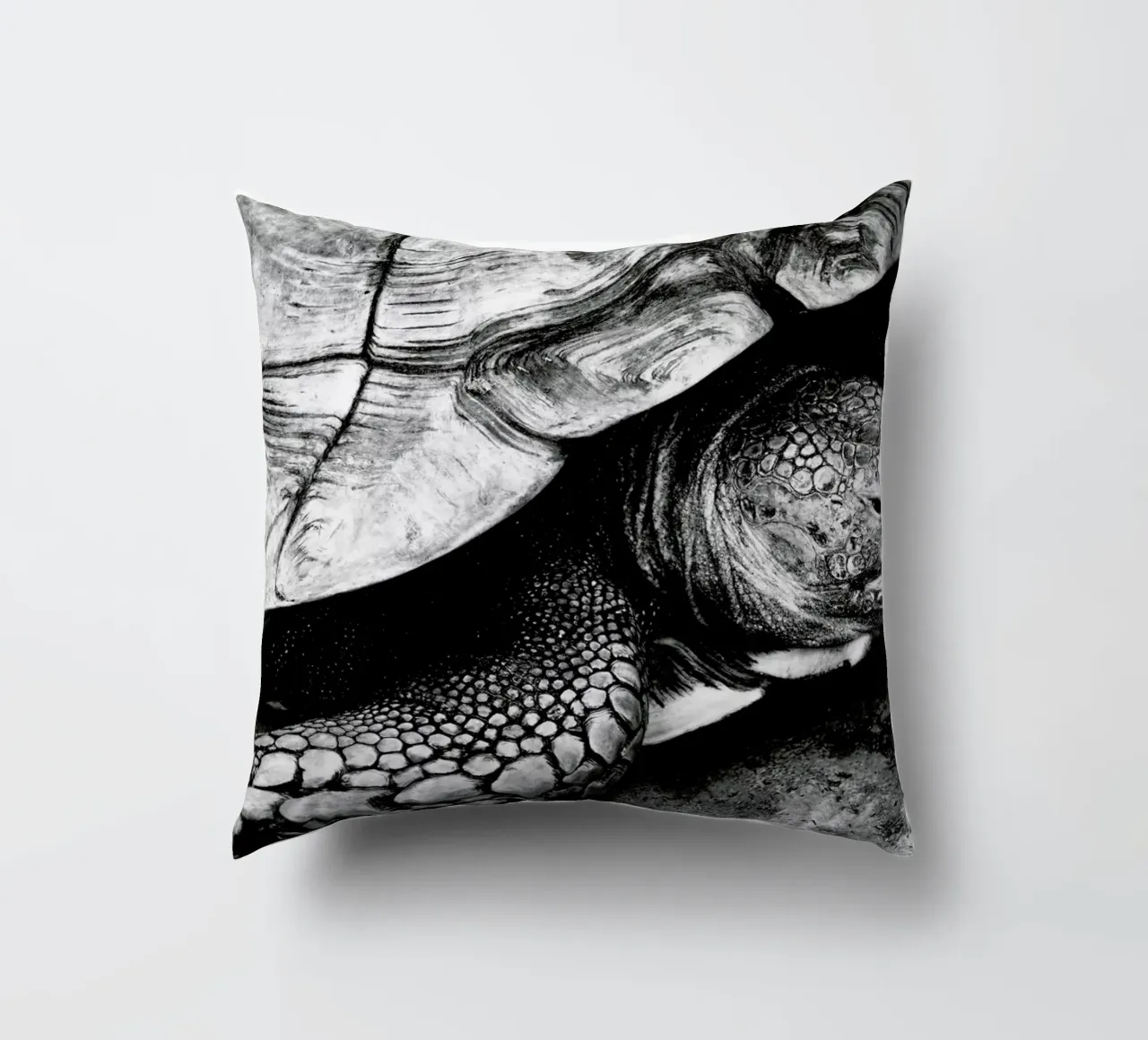 Tim the Turtle cuscino da Babett Schultze