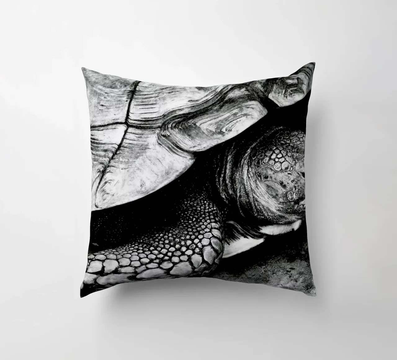 Tim the Turtle cuscino da Babett Schultze