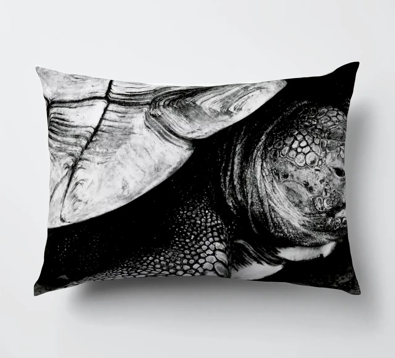 Tim the Turtle cuscino da Babett Schultze