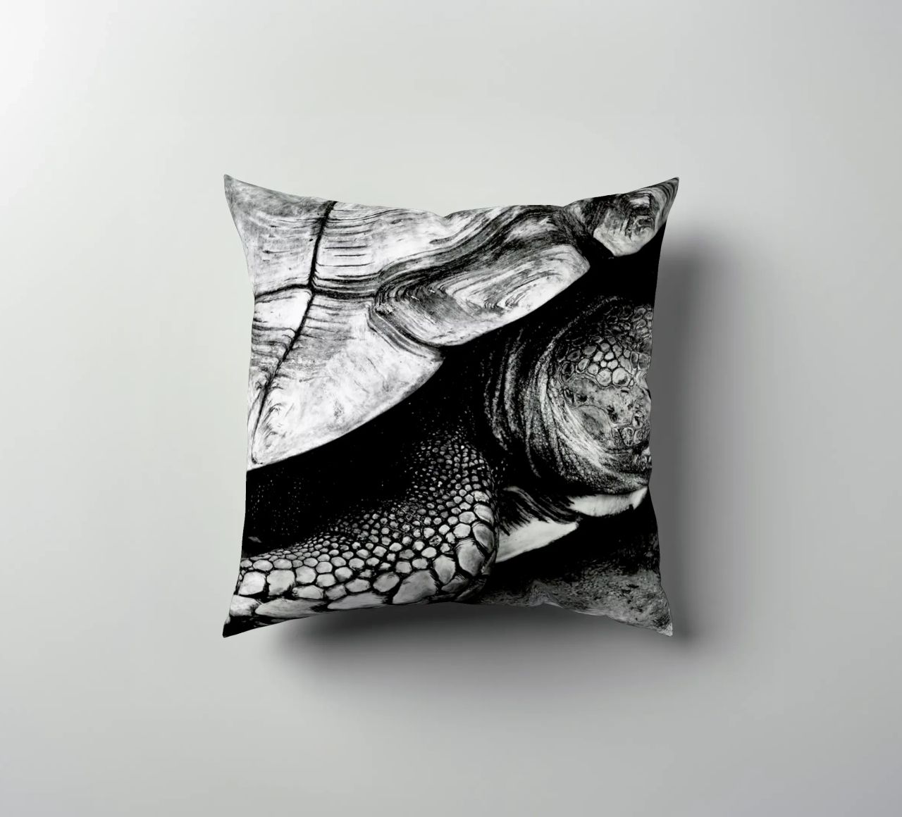 Tim the Turtle cuscino da Babett Schultze