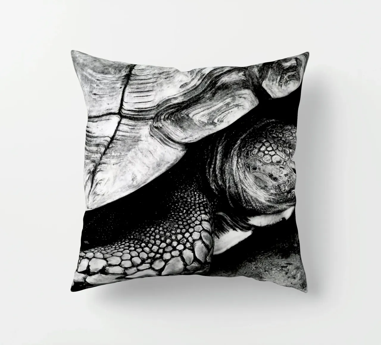 Tim the Turtle cuscino da Babett Schultze