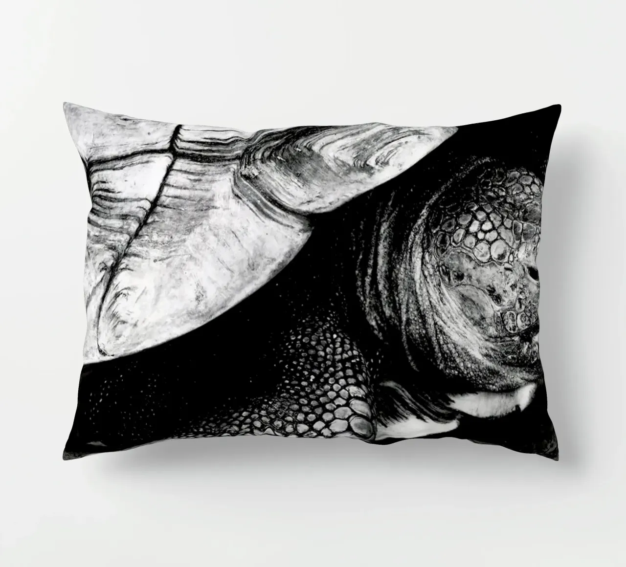 Tim the Turtle cuscino da Babett Schultze