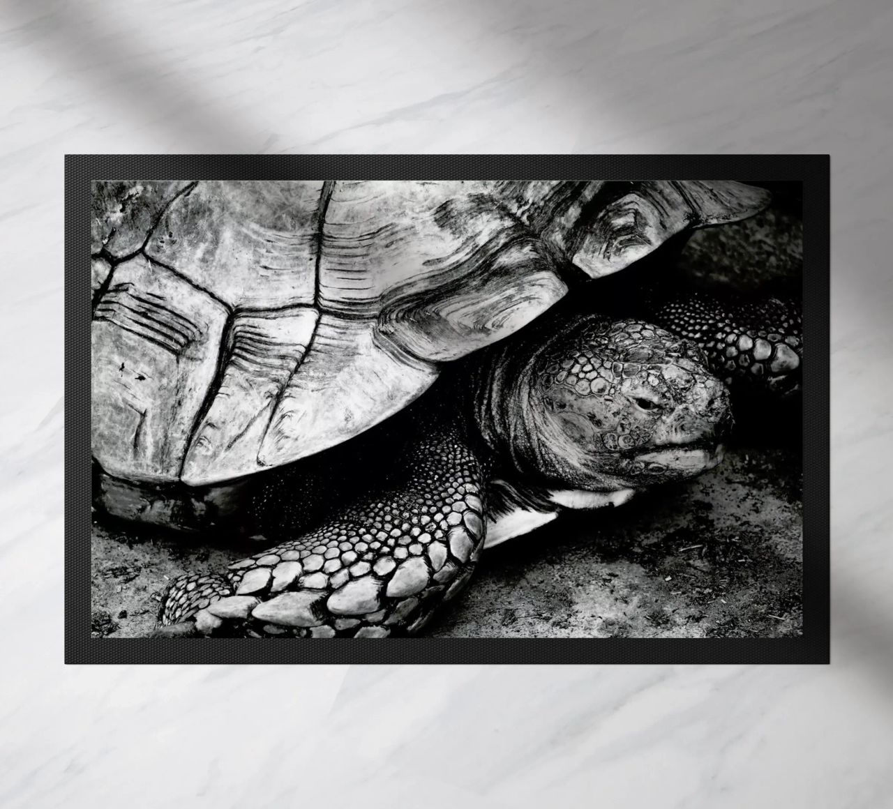 Tim the Turtle zerbino da Babett Schultze