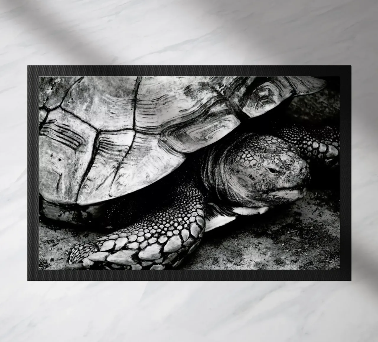 Tim the Turtle paillasson de Babett Schultze