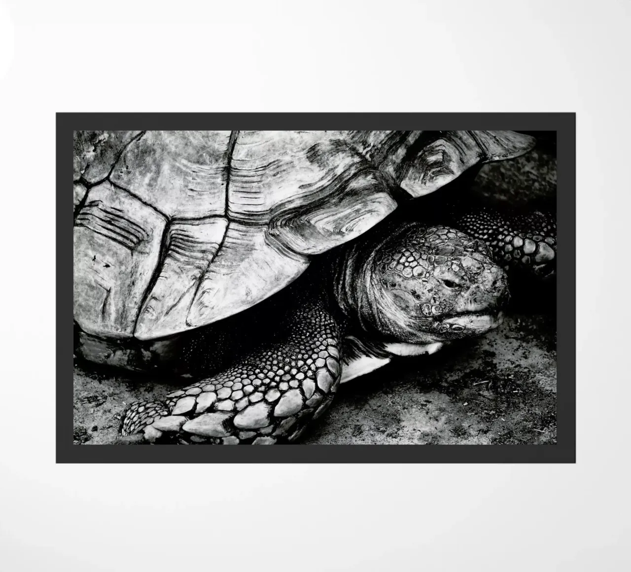 Tim the Turtle paillasson de Babett Schultze