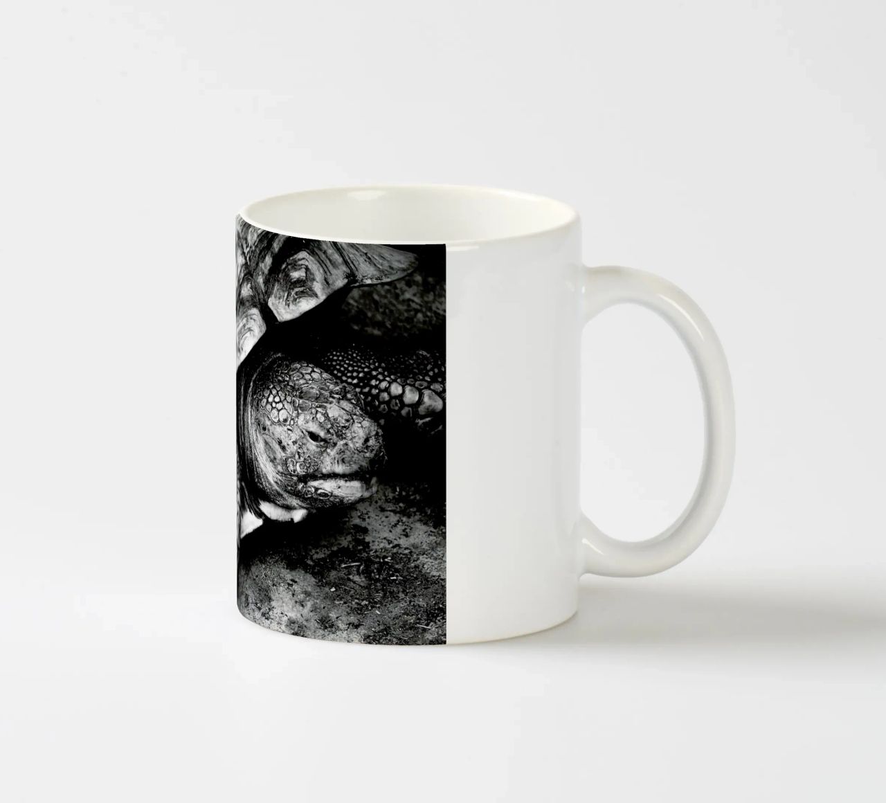 Tim the Turtle tazza in ceramica da Babett Schultze