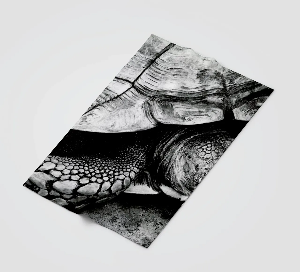 Tim the Turtle coperta in pile da Babett Schultze