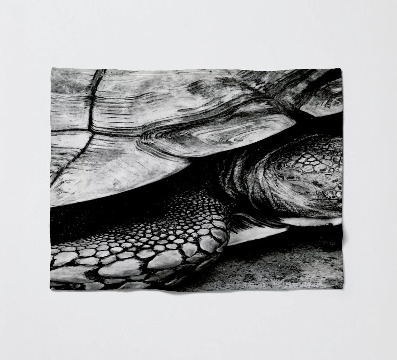 Tim the Turtle coperta in pile da Babett Schultze