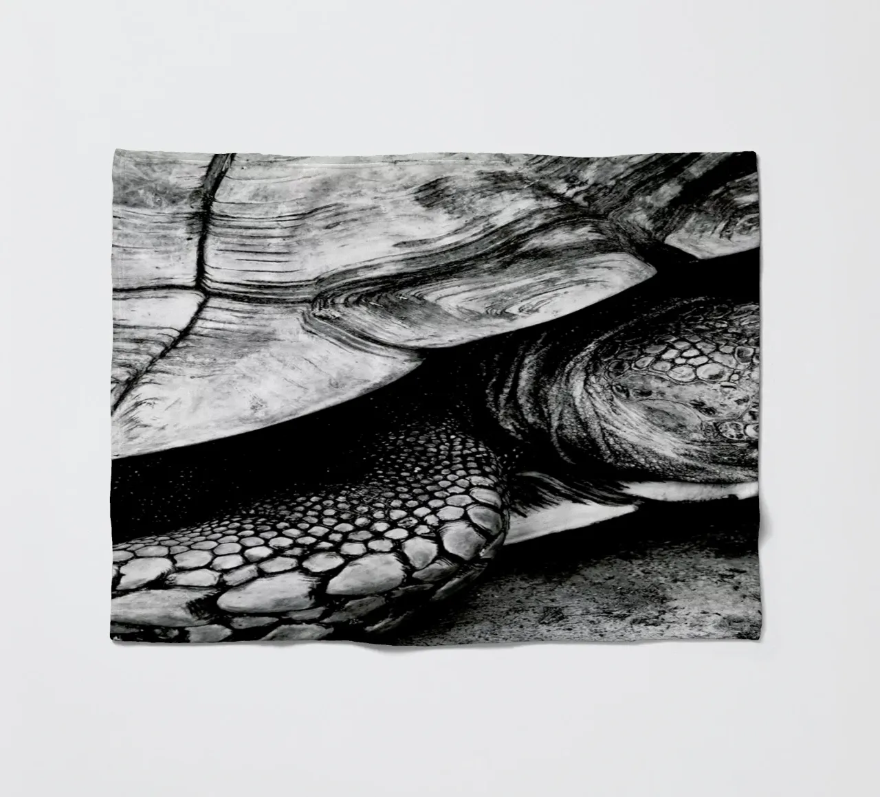 Tim the Turtle fleece blanket by Babett Schultze