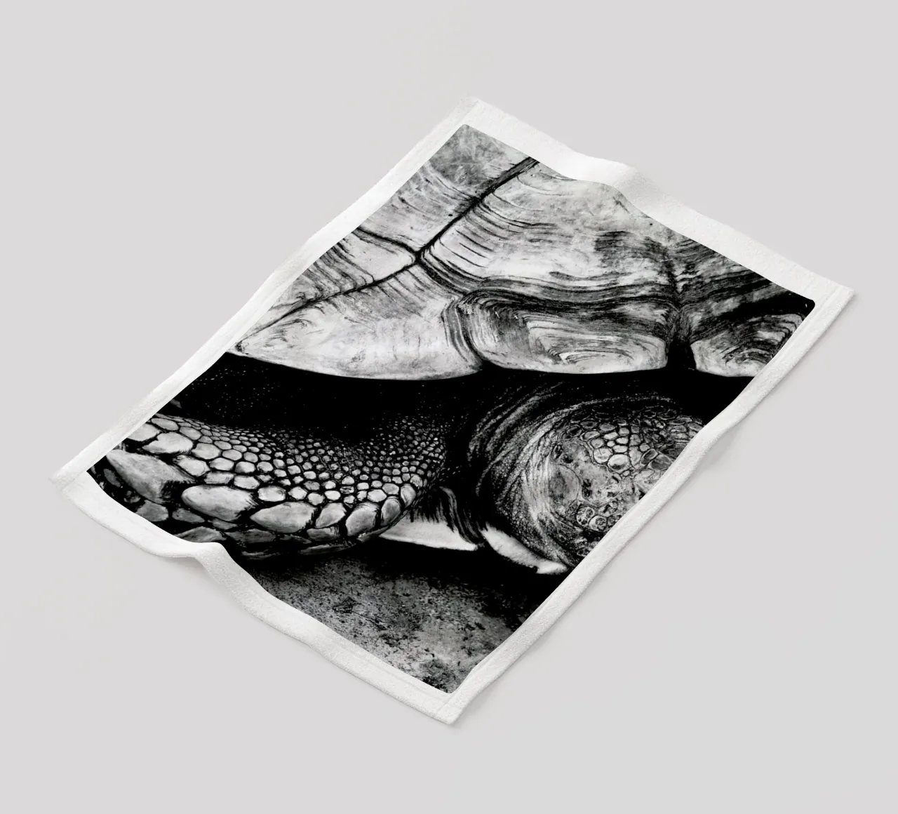 Tim the Turtle coperta in pile da Babett Schultze