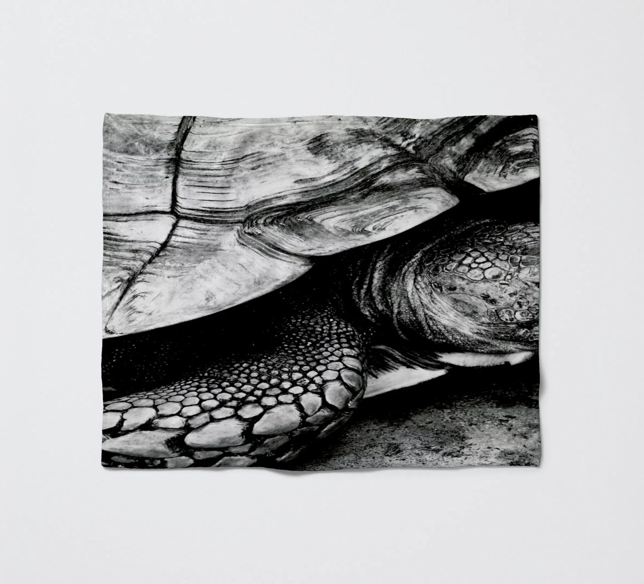Tim the Turtle coperta in pile da Babett Schultze