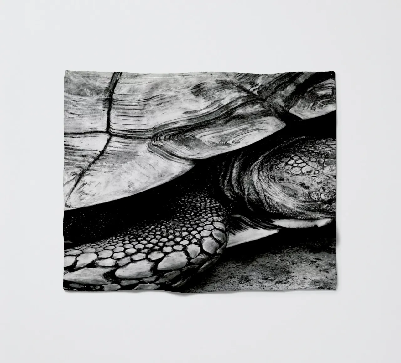 Tim the Turtle fleece blanket by Babett Schultze