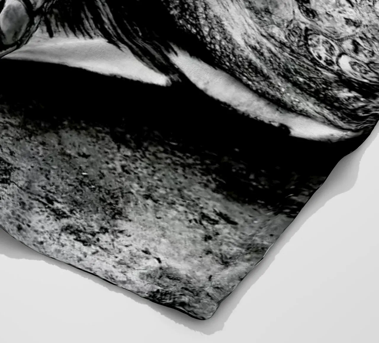 Tim the Turtle coperta in pile da Babett Schultze