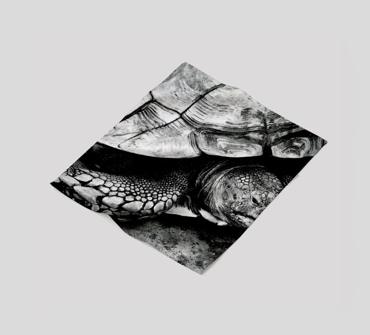 Tim the Turtle coperta in pile da Babett Schultze