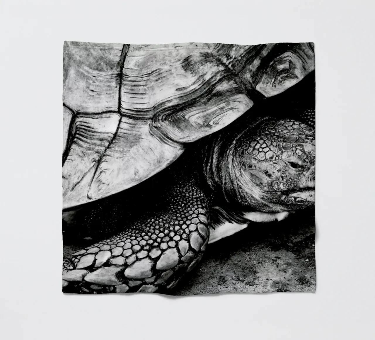 Tim the Turtle coperta in pile da Babett Schultze