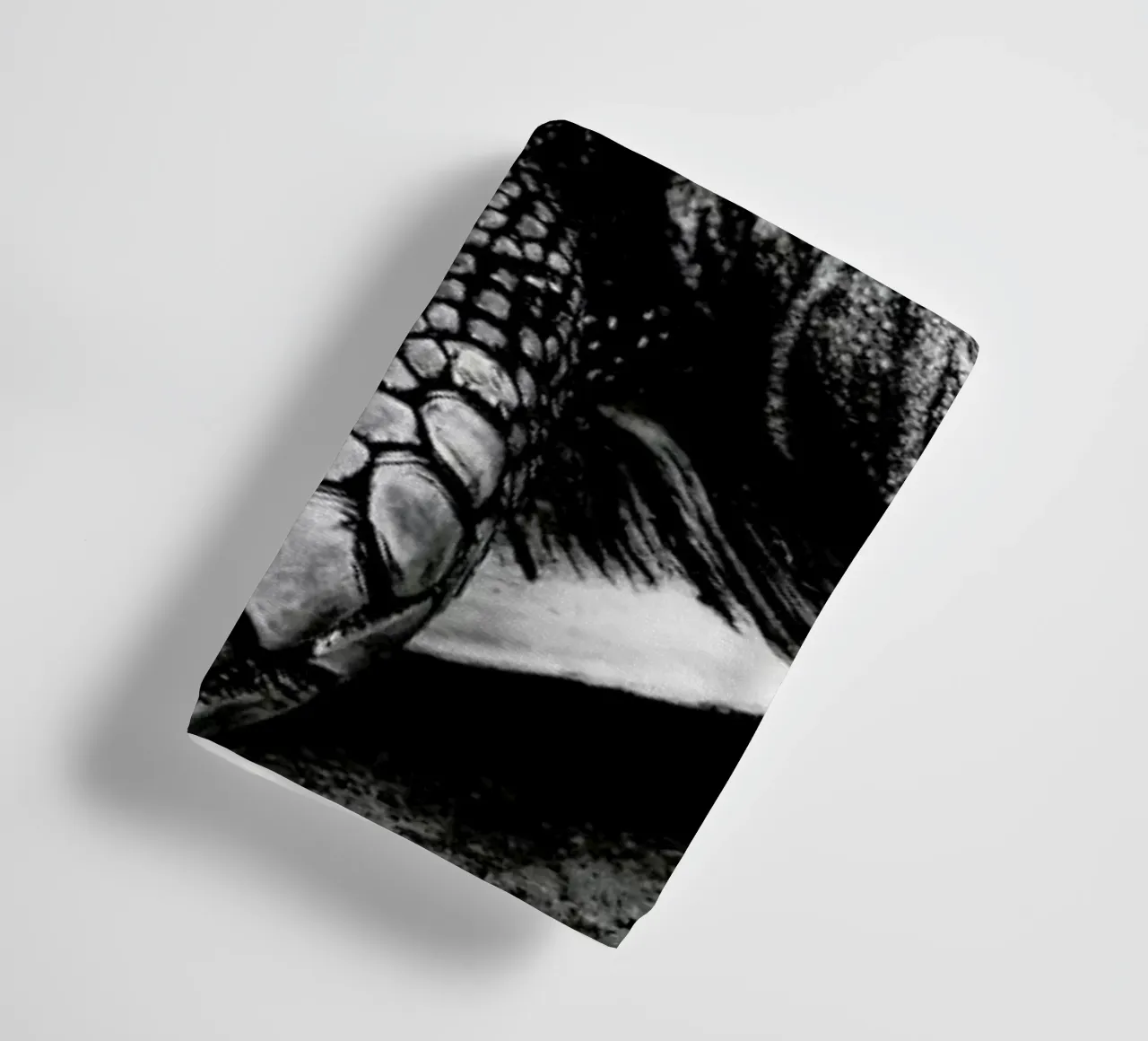 Tim the Turtle badhanddoek van Babett Schultze