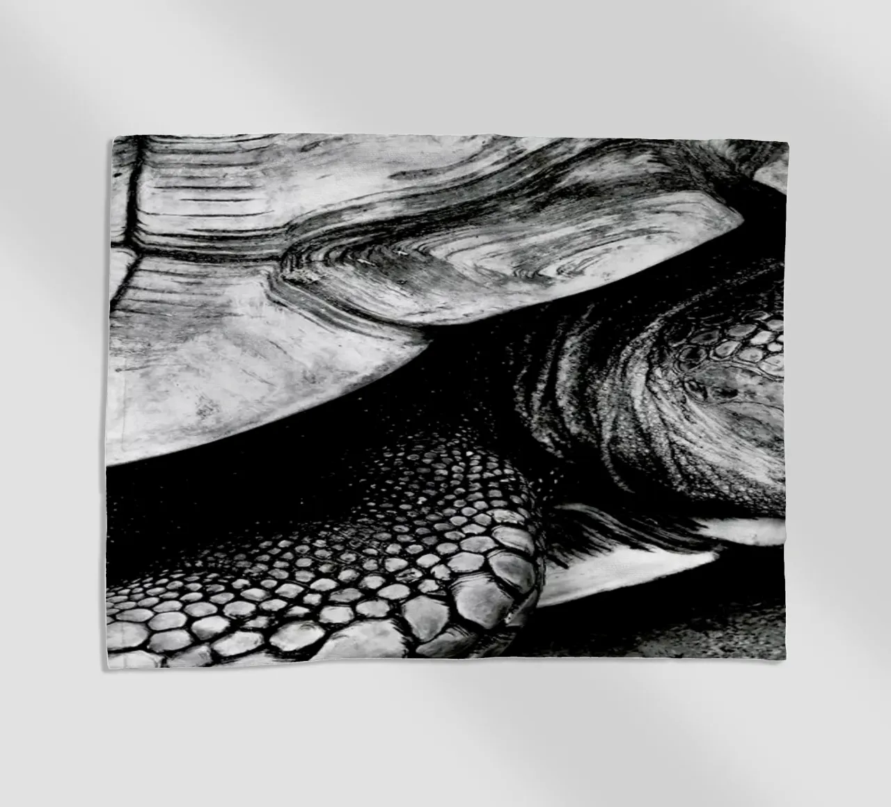 Tim the Turtle telo mare da Babett Schultze