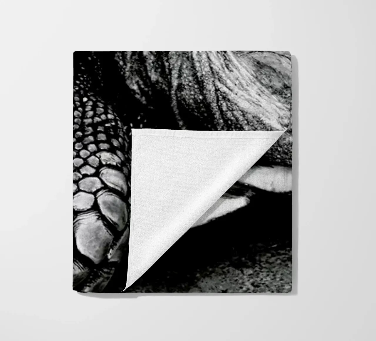 Tim the Turtle telo mare da Babett Schultze