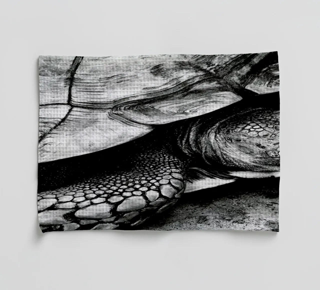 Tim the Turtle torchon de Babett Schultze