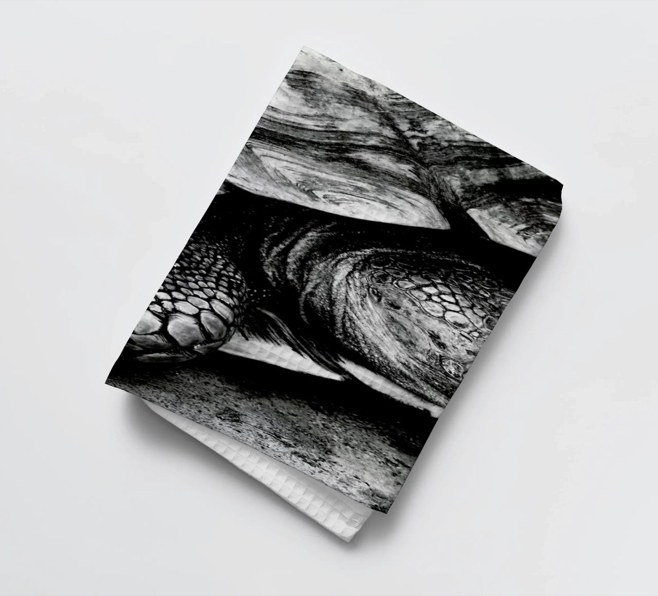 Tim the Turtle canovaccio da cucina da Babett Schultze
