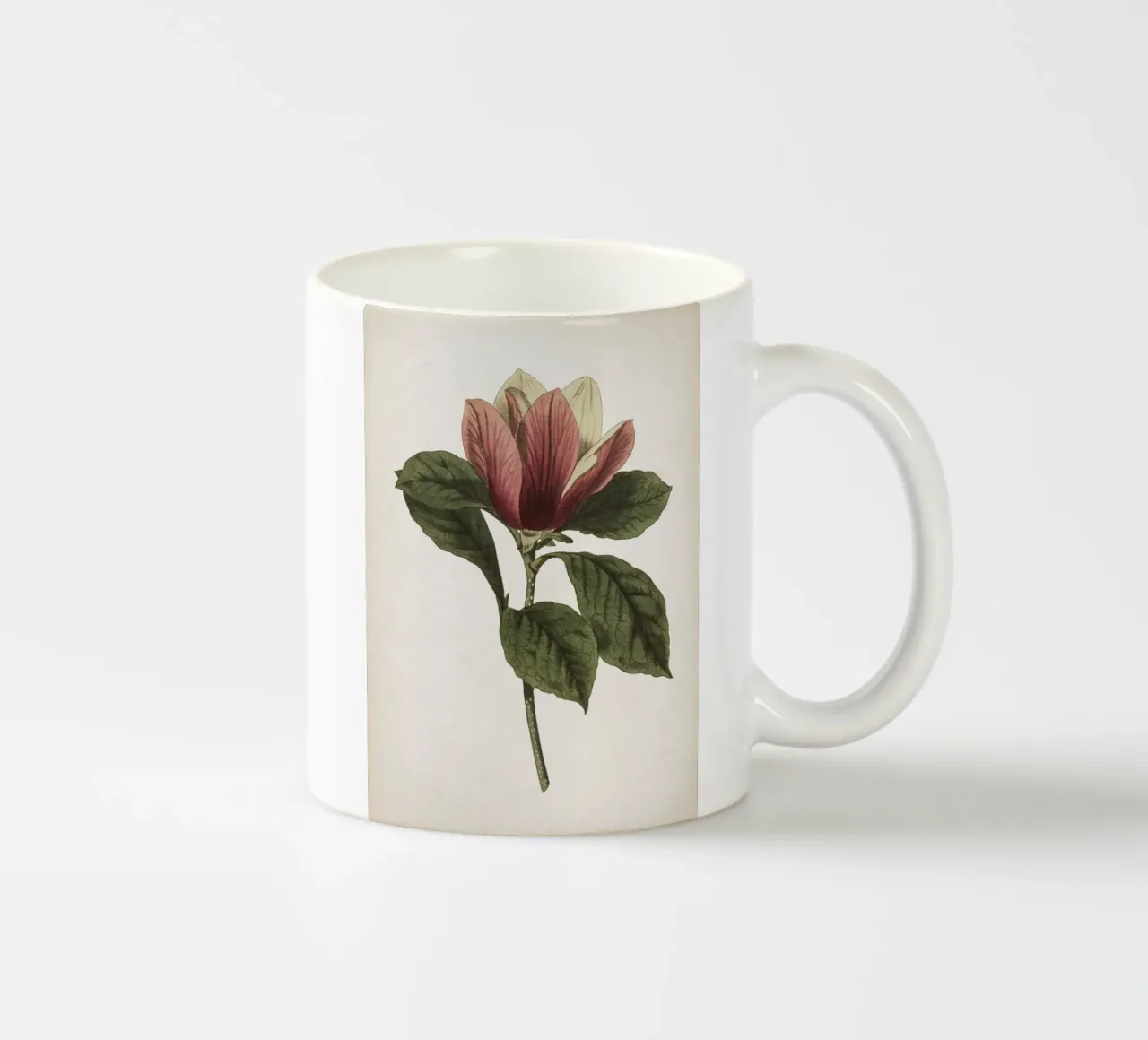 Vintage Curtis 1 Magnolia tazza in ceramica da Vintage Print Collection