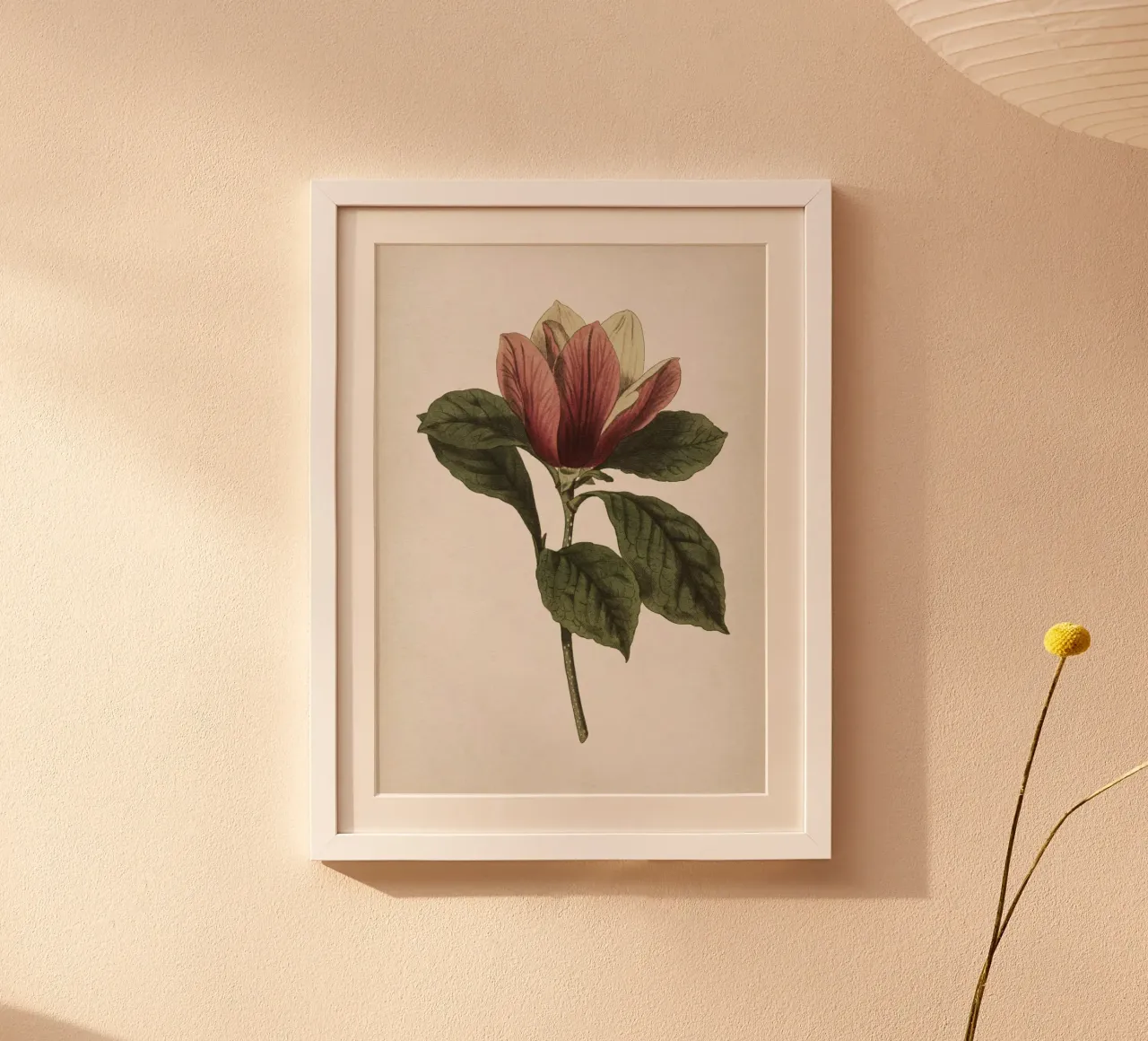Vintage Curtis 1 Magnolia poster con telaio in plastica da Vintage Print Collection