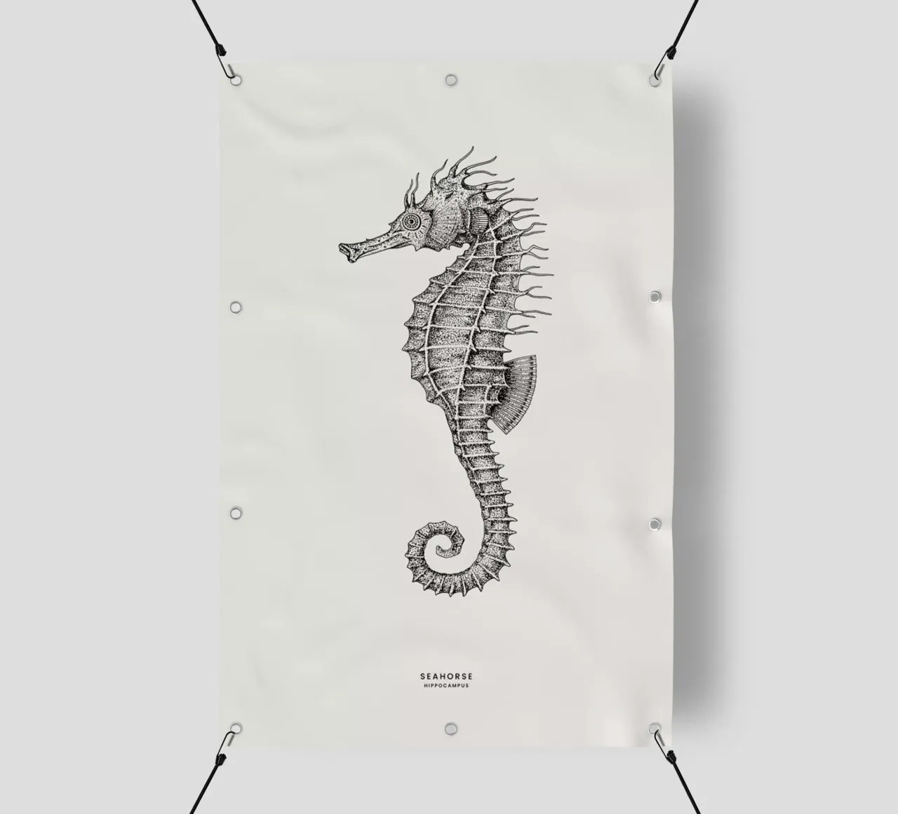 Seahorse telo in pvc da Flora & Fauna