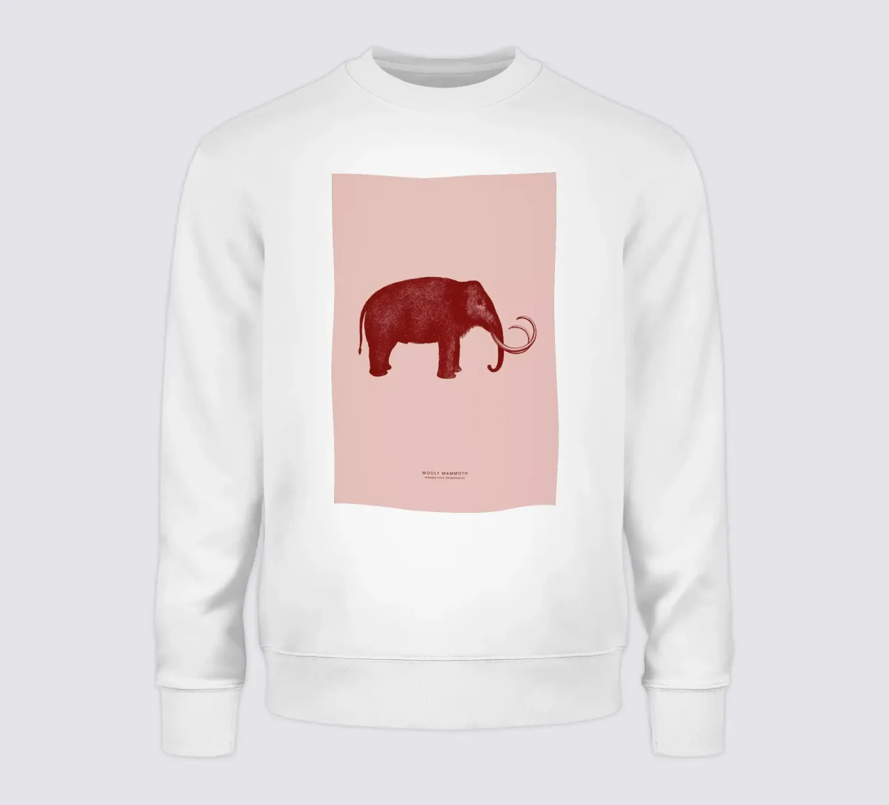 Mammoth II sweatshirt by Flora & Fauna