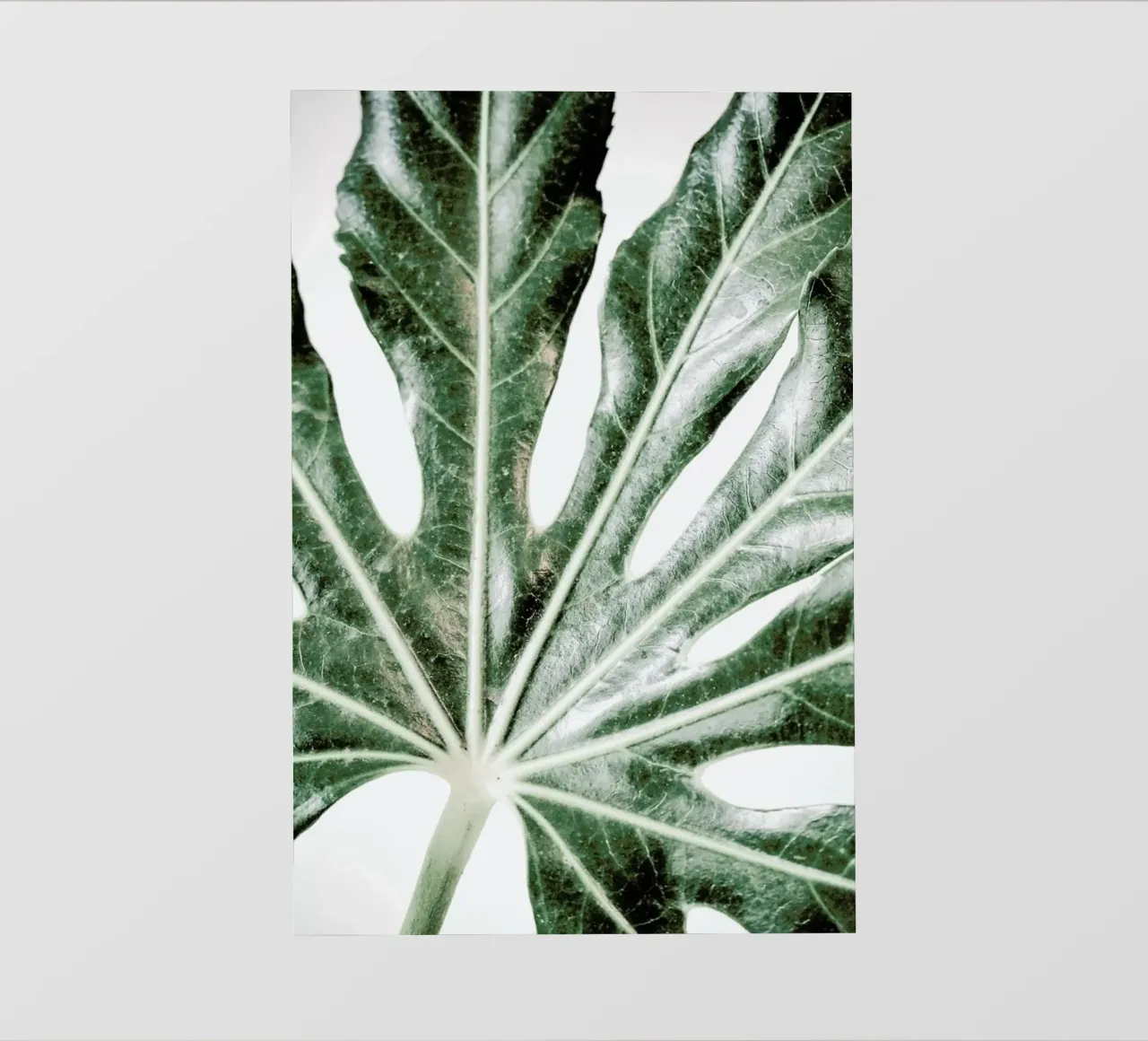 Light Palm telo in pvc da Babett Schultze