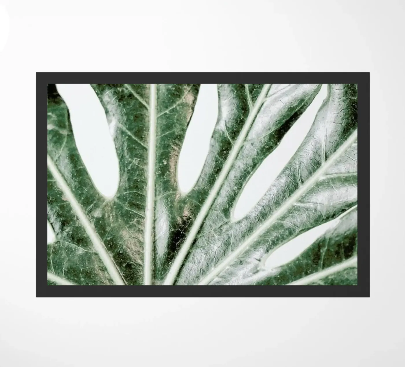 Light Palm doormat by Babett Schultze