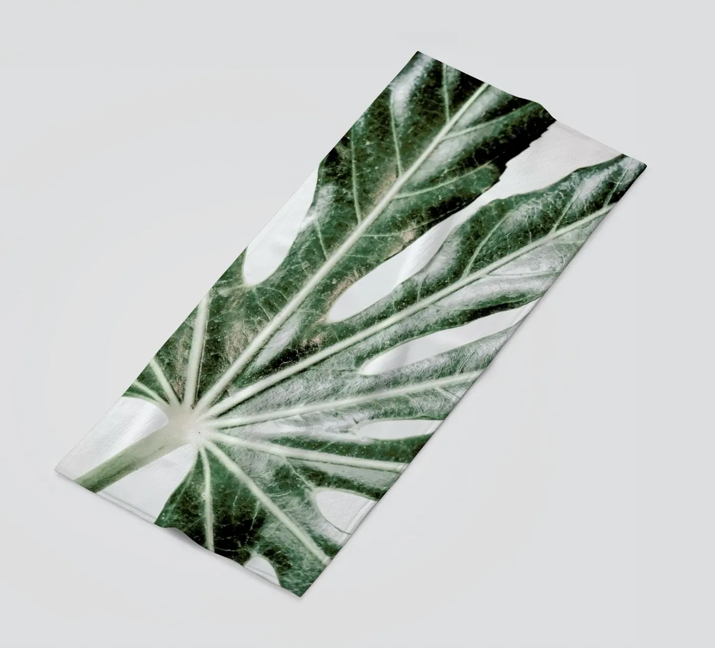 Light Palm telo mare da Babett Schultze