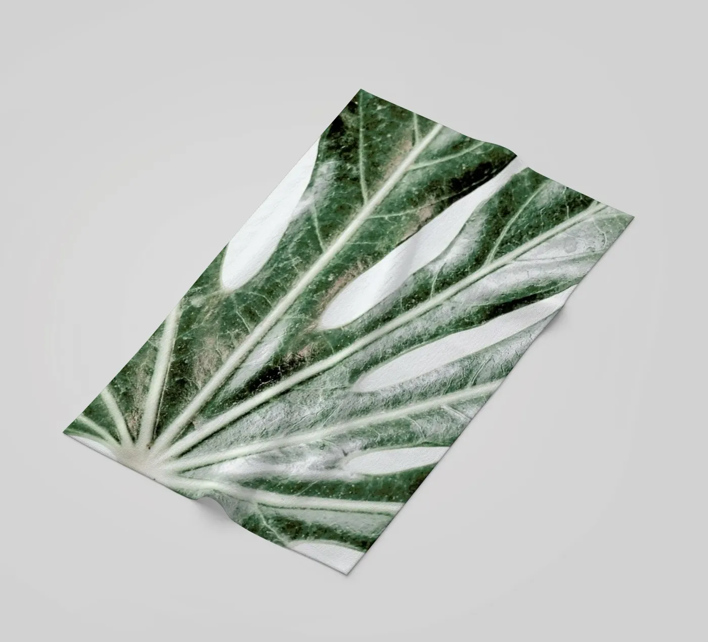 Light Palm telo mare da Babett Schultze