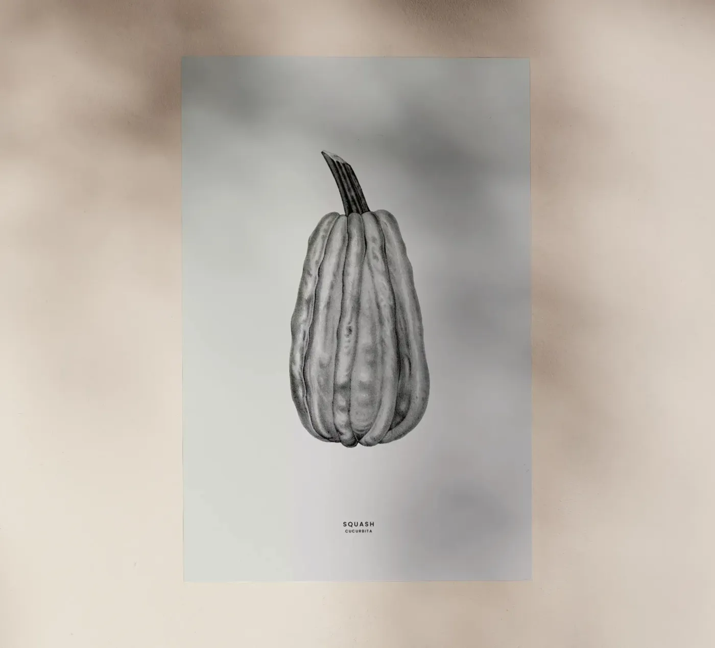 Squash pellicola backlit da Flora & Fauna