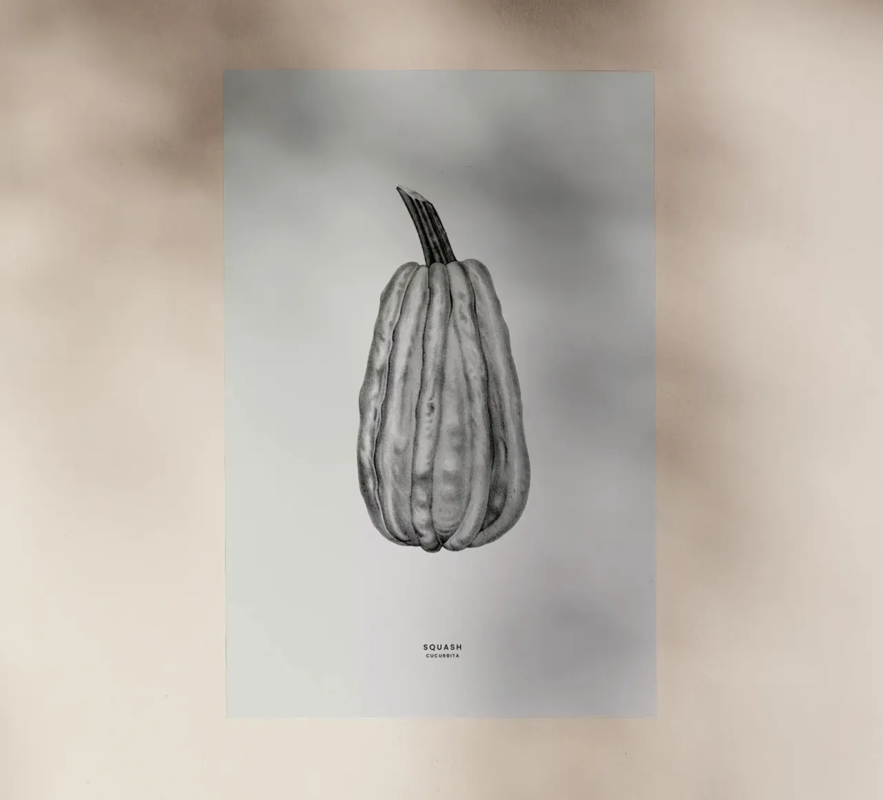 Squash pellicola backlit da Flora & Fauna