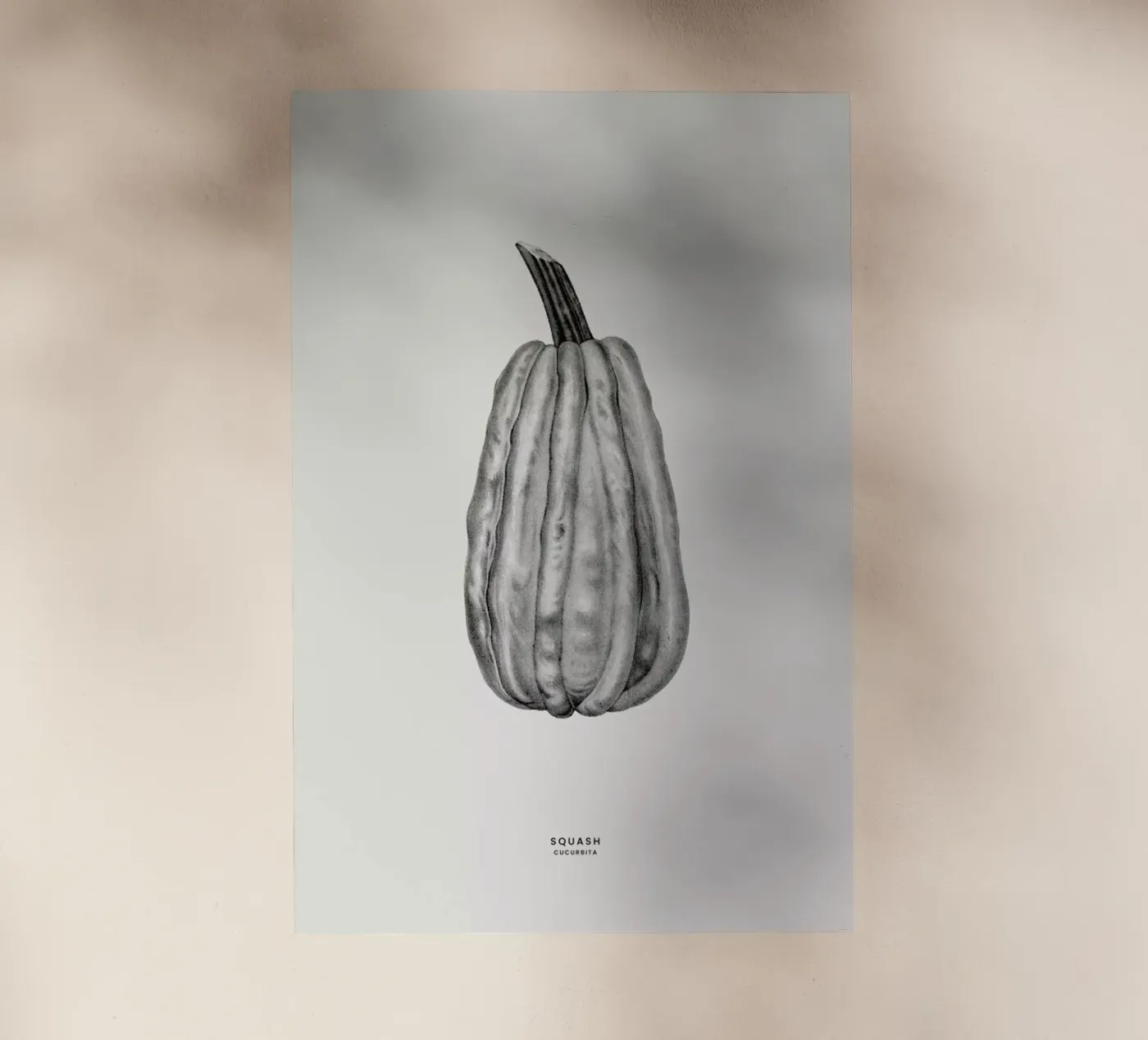 Squash pellicola backlit da Flora & Fauna