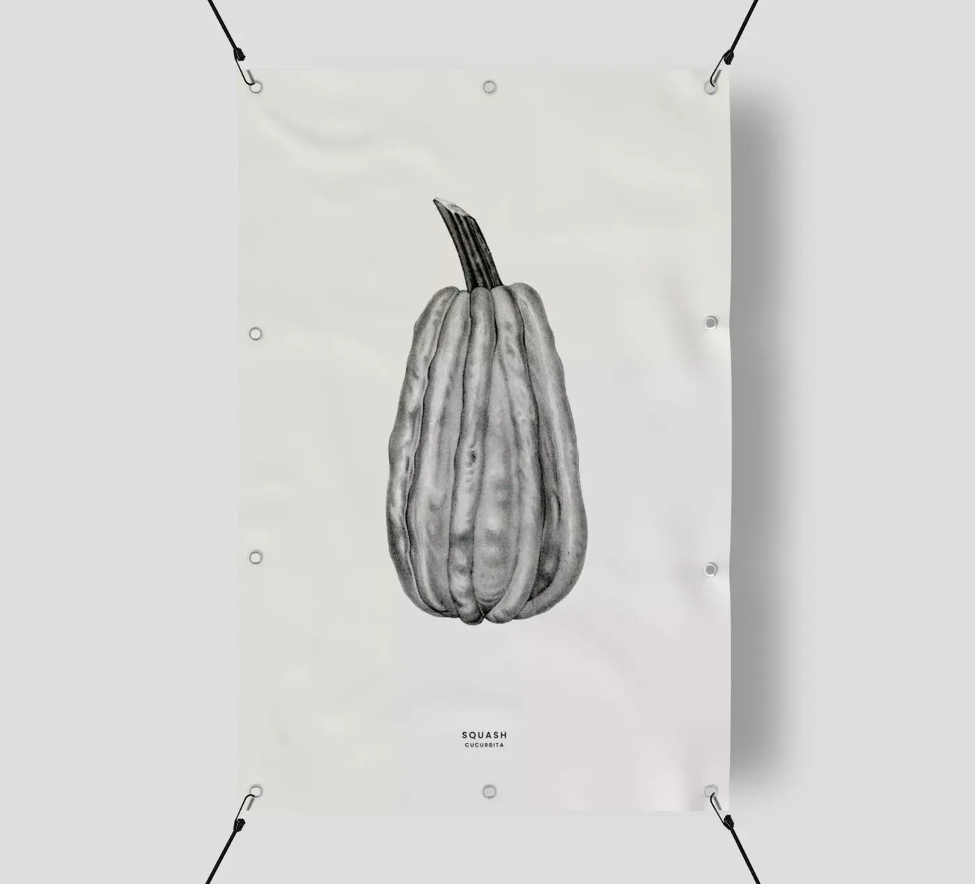 Squash telo in pvc da Flora & Fauna