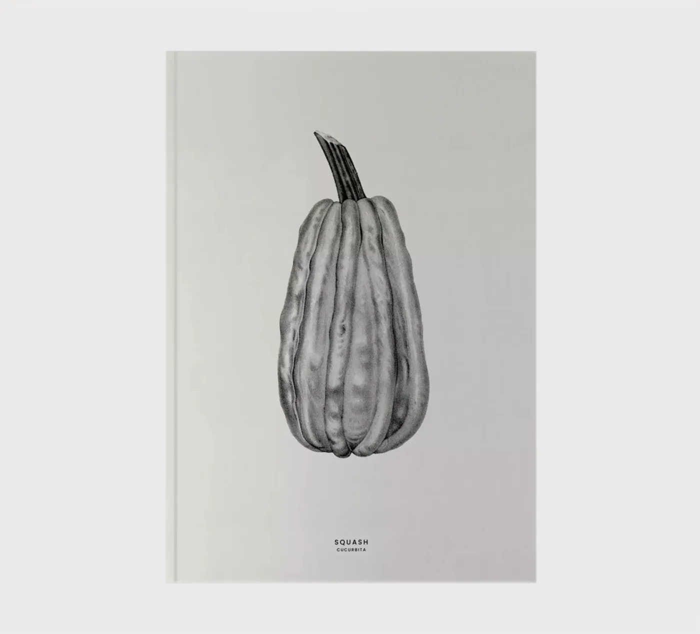 Squash notebook by Flora & Fauna