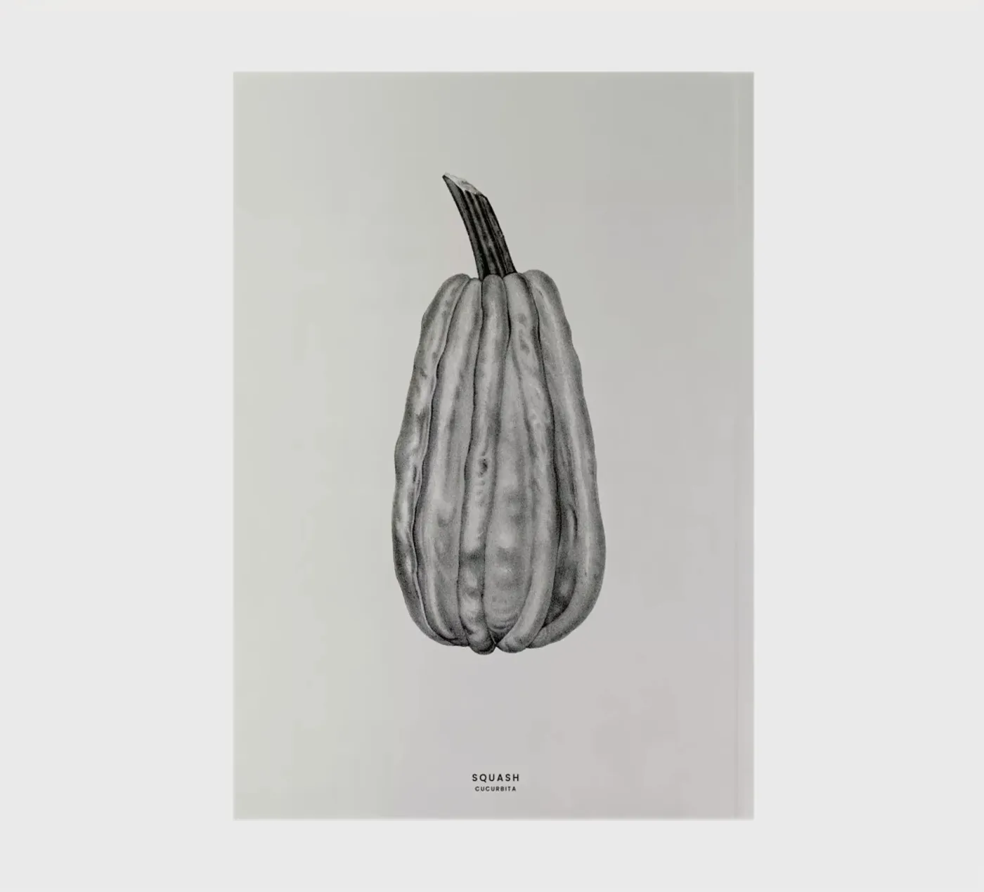 Squash notebook by Flora & Fauna