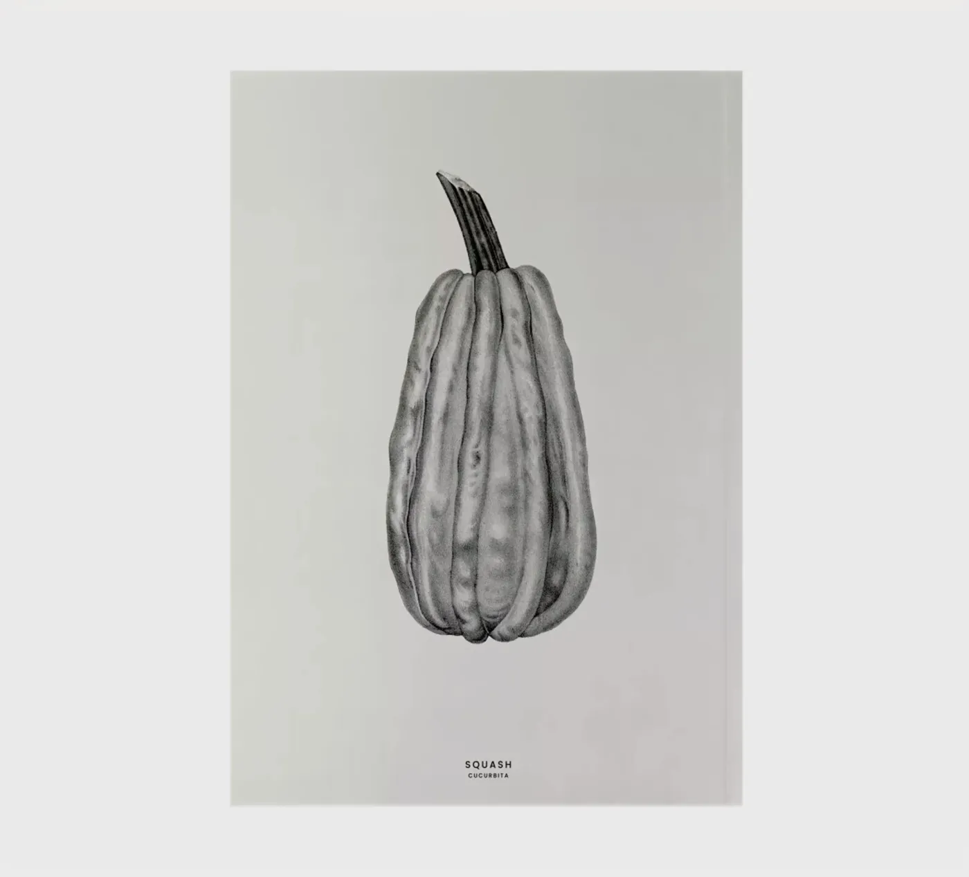 Squash notebook by Flora & Fauna