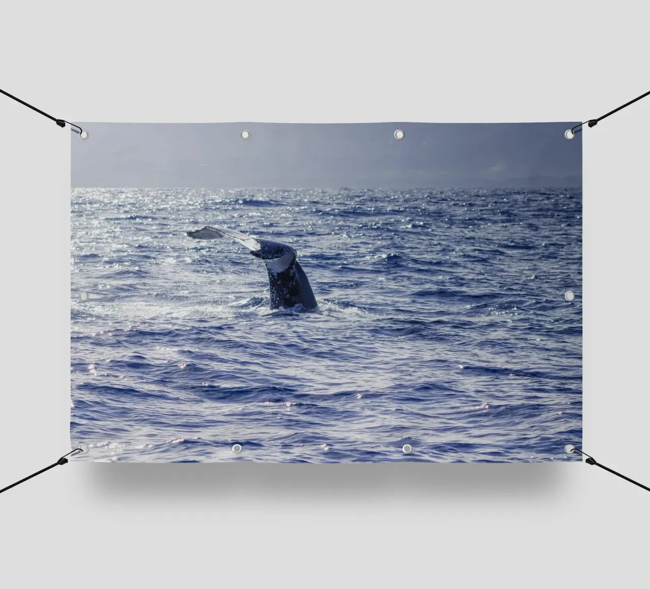 L'immersione delle balene 2 telo in pvc da Léa Lefebvre Photography