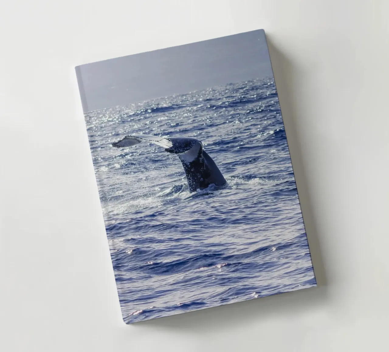 The whale dive 2 notebook by Léa Lefebvre Photography