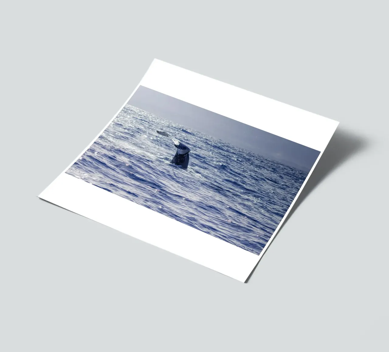 The whale dive 2 sticker sheet by Léa Lefebvre Photography