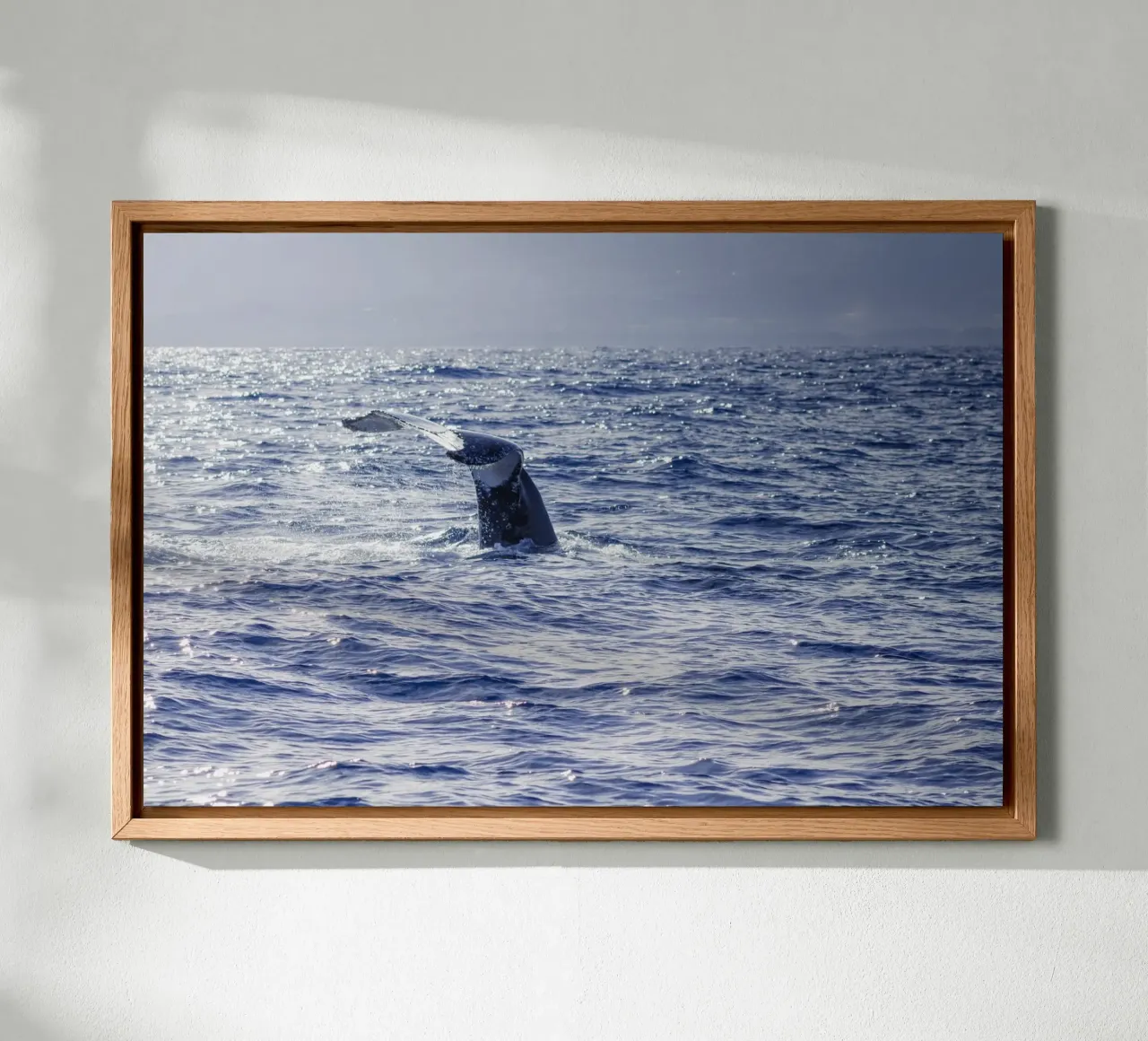 L'immersione delle balene 2 tela con Cornice a cassetta da Léa Lefebvre Photography
